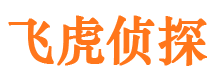 惠济市私家侦探